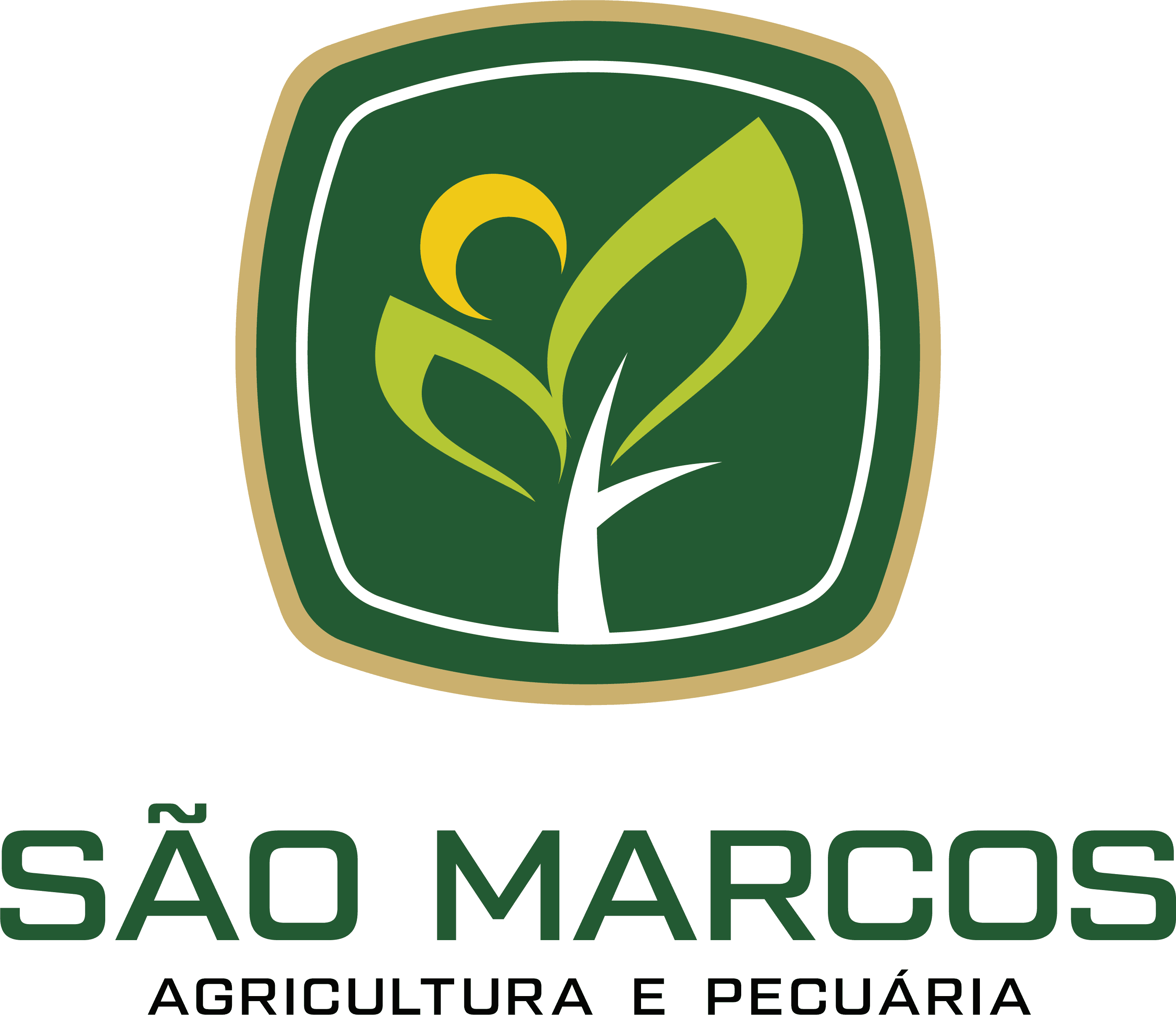 São Marcos